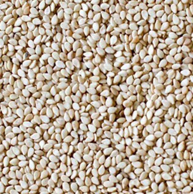 Seesame Seeds