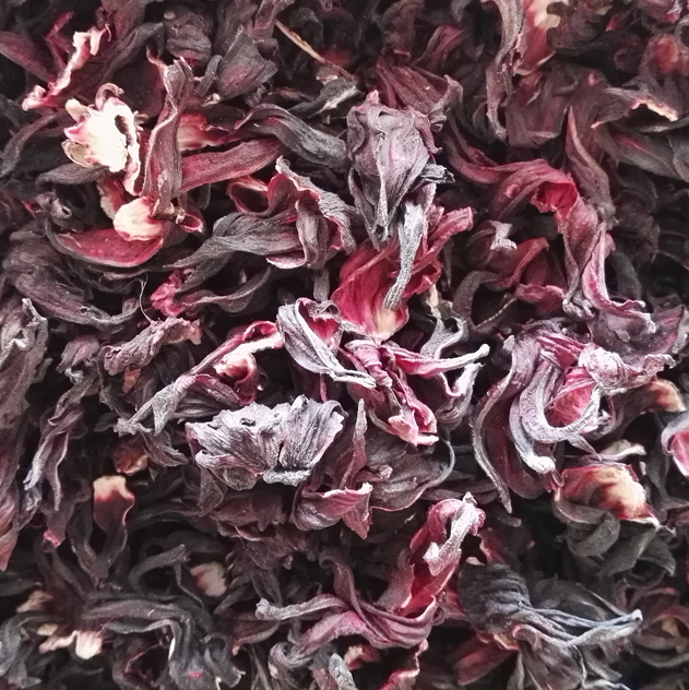 Hibiscus Flower